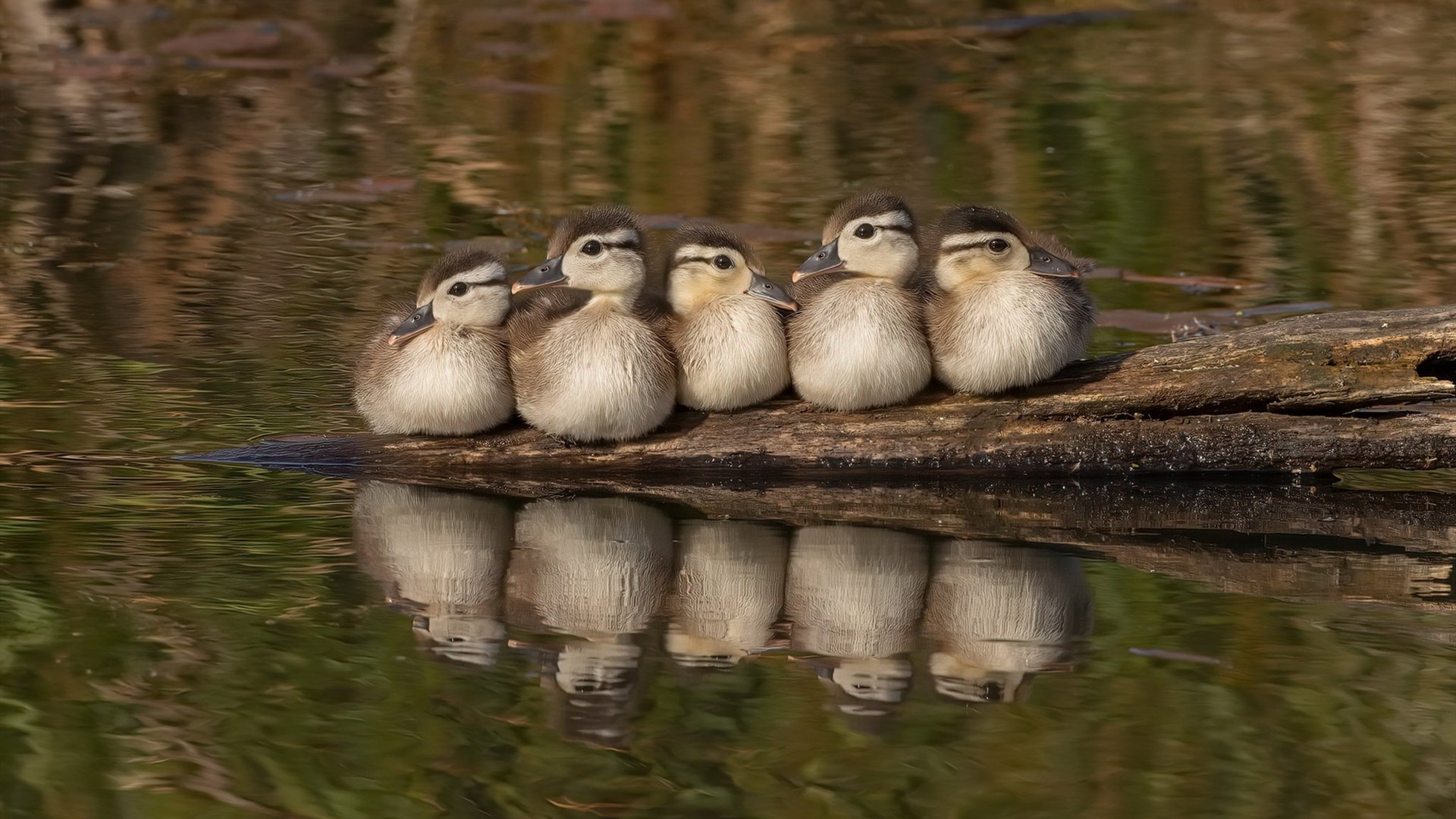 开云·Kaiyun网页版-英超球队赛季中期运动负荷监控与训练调整策略,英超球员体能