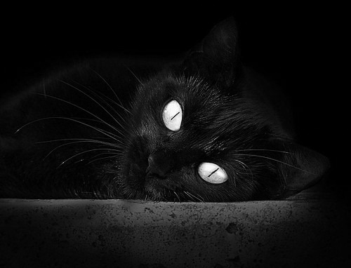 开云·Kaiyun网页版-英超球队赛季中期运动负荷监控与训练调整策略,英超球员体能