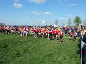 KAIYUNAPP-青少年体育活动中的家庭支持系统作用研究,家庭体育的开展