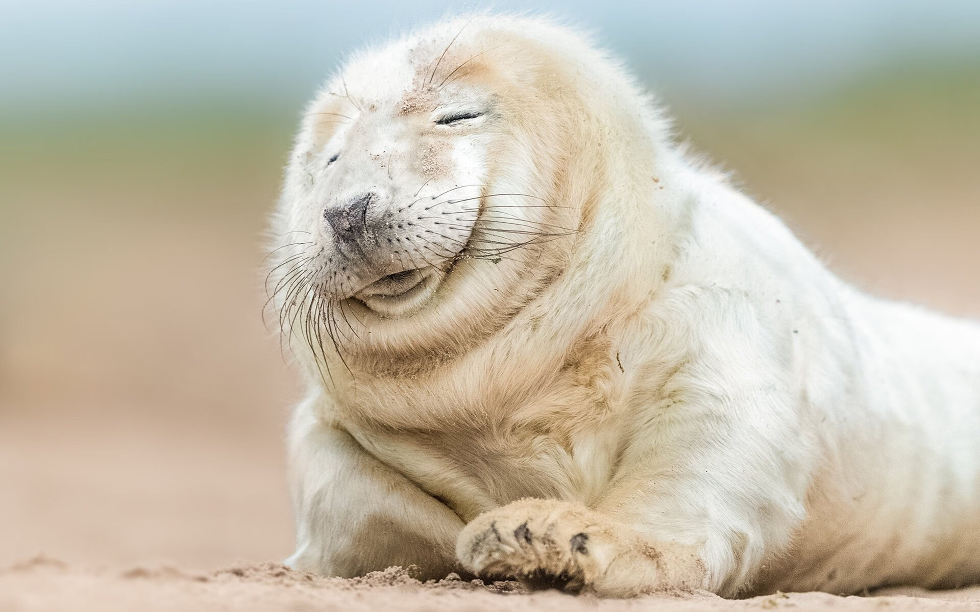 开云体育APP下载-体育科研助力训练精细化水平再提升,体育科研能力