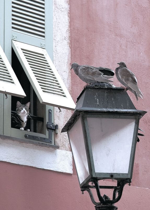 开云官网APP下载-国家队备战时间短缺影响备战效果，国家队备战时间短缺影响备战效果嘛