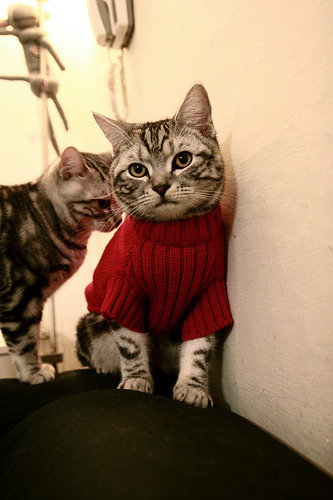 开云体育-中超联赛再迎世界级球星加盟,中超联赛球员名单