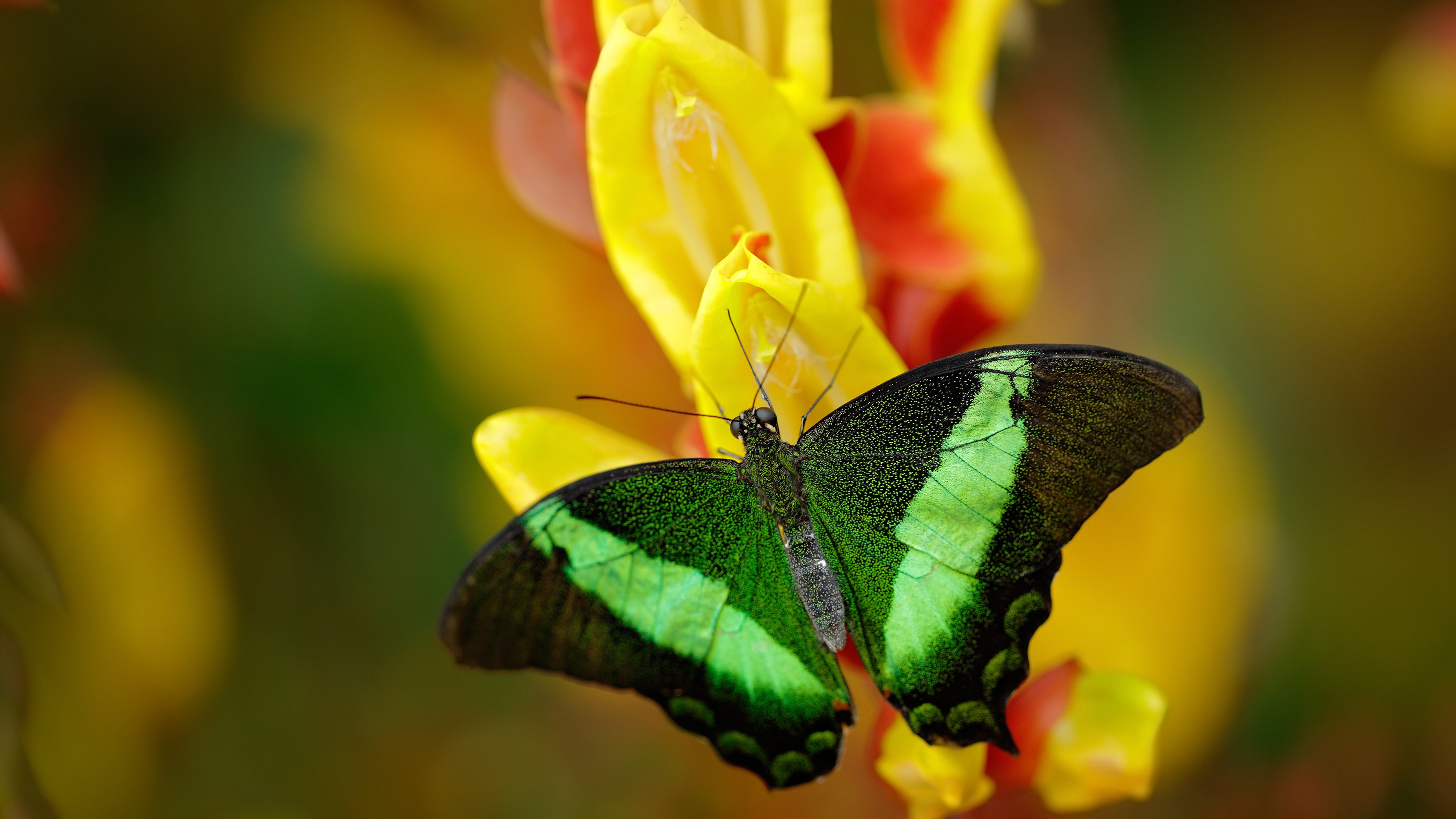 kaiyun开云·官方网站-球队与科技公司合作开发投篮追踪系统，投篮技术分析