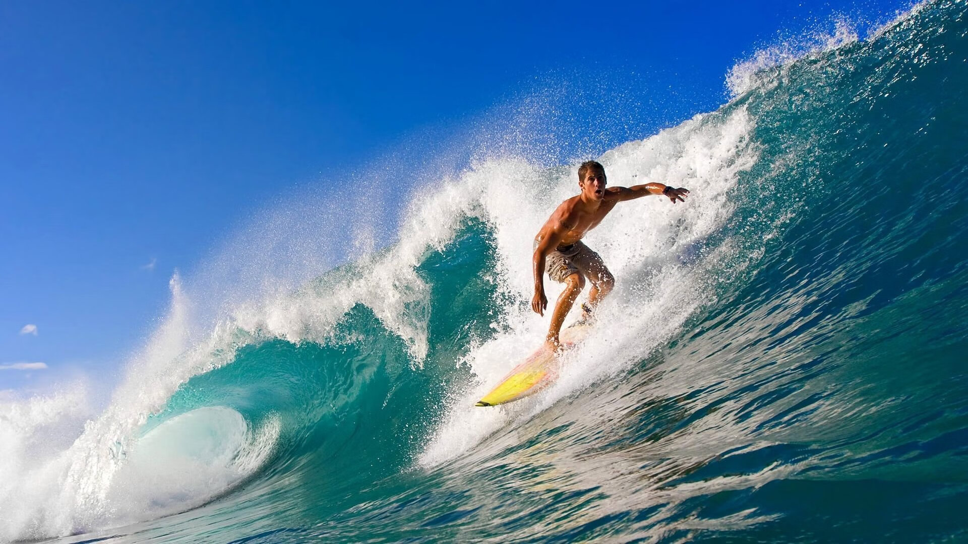 世界杯:各大平台发布“年度看球报告” 总结球迷行为数据